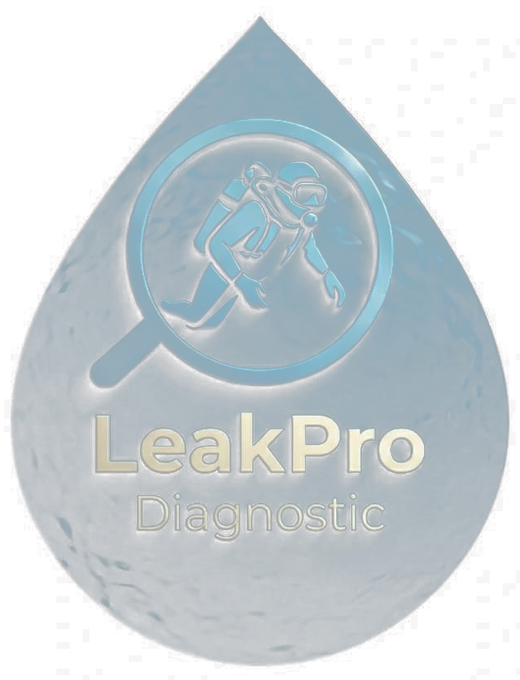 LeakPro Diagnostic